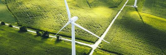wind turbines in a field