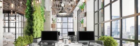 Interior of a green office